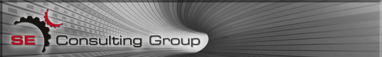 SE Consulting Group